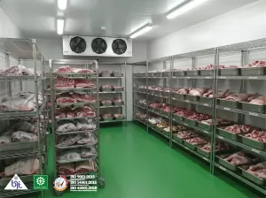 Cold Storage Freezers for Meat and Fruits